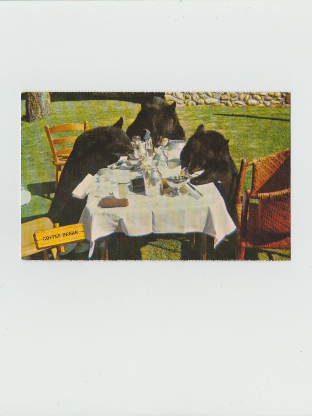 Jasper Park Lodge Bears Coffee Break Postcard Canadian Rockies Resort Traveltime
